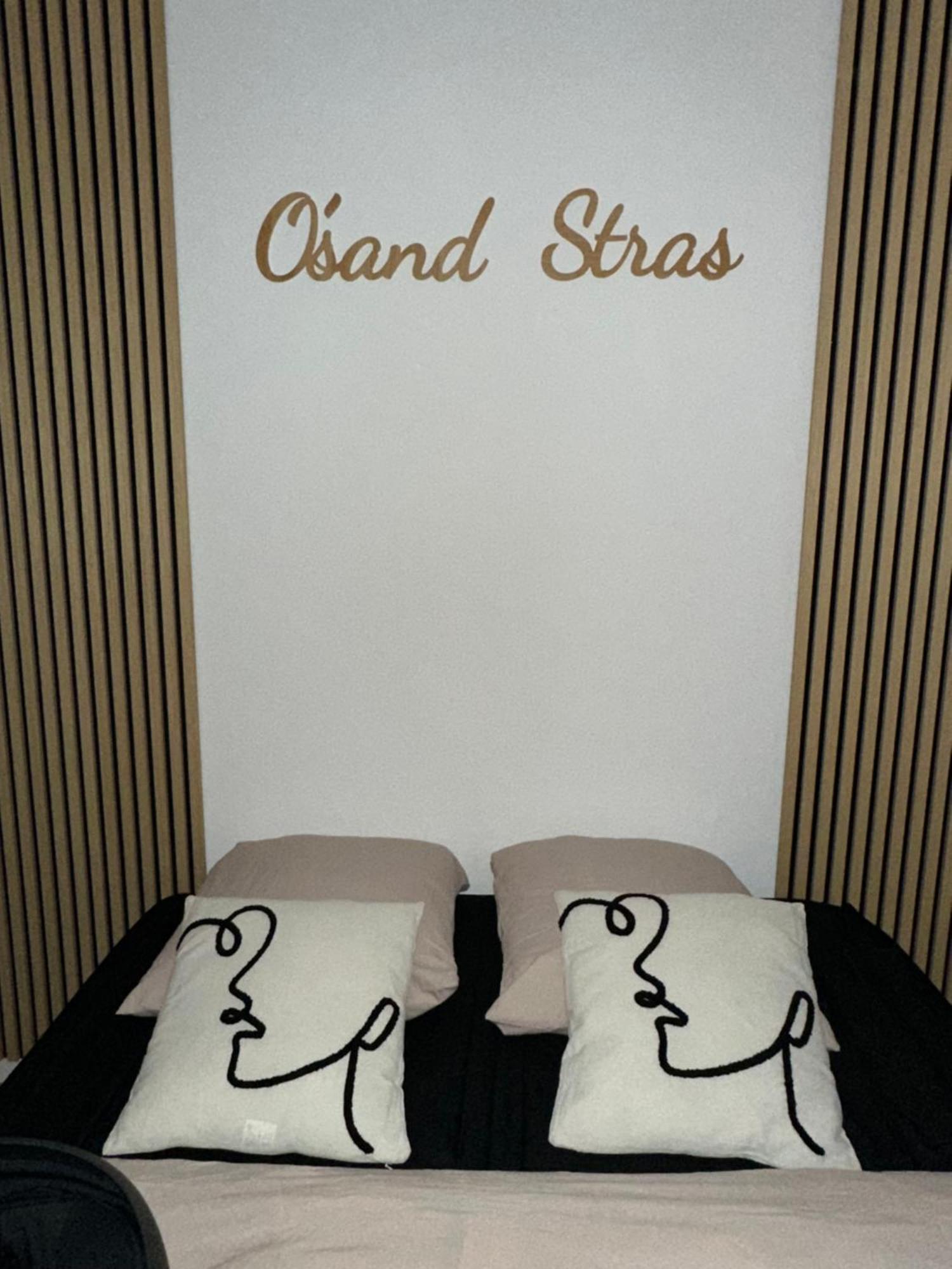 O Sand Stras Studio 25M Carre Strasbourg Eksteriør bilde